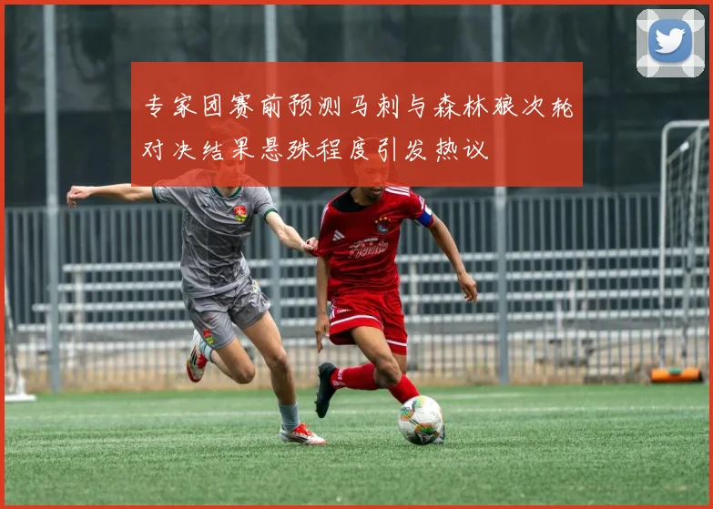 专家团赛前预测马刺与森林狼次轮对决结果悬殊程度引发热议