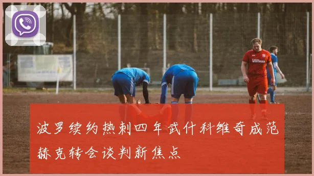 波罗续约热刺四年武什科维奇成范赫克转会谈判新焦点